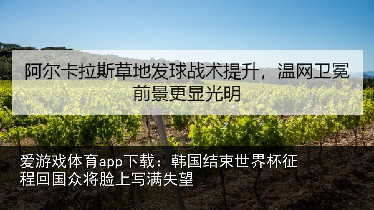 爱游戏体育app下载：韩国结束世界杯征程回国众将脸上写满失望